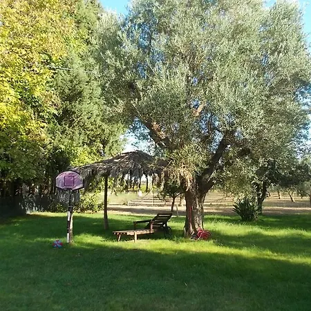 Bed & Breakfast I 2 Leoni Lecce